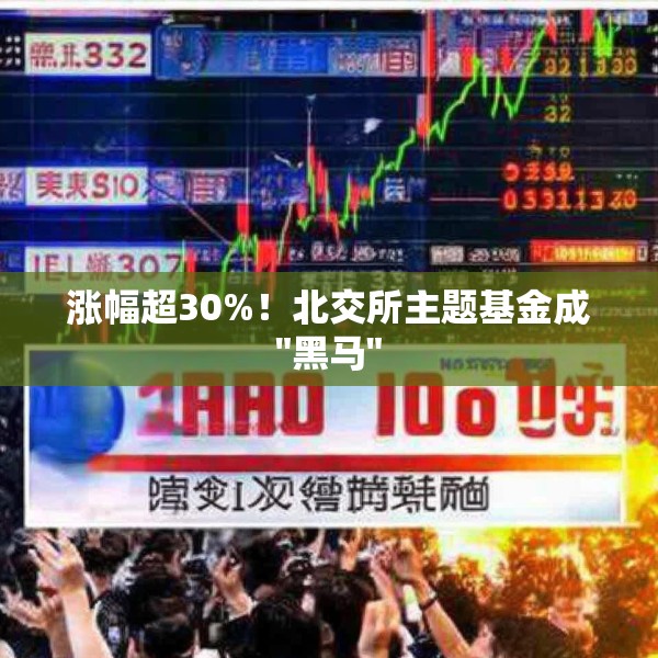 涨幅超30%！北交所主题基金成