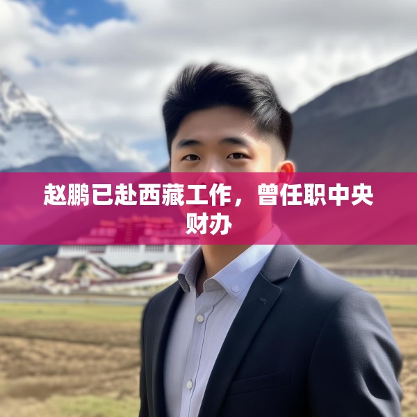 赵鹏已赴西藏工作，曾任职中央财办