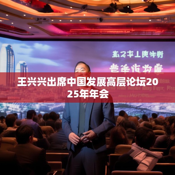 王兴兴出席中国发展高层论坛2025年年会