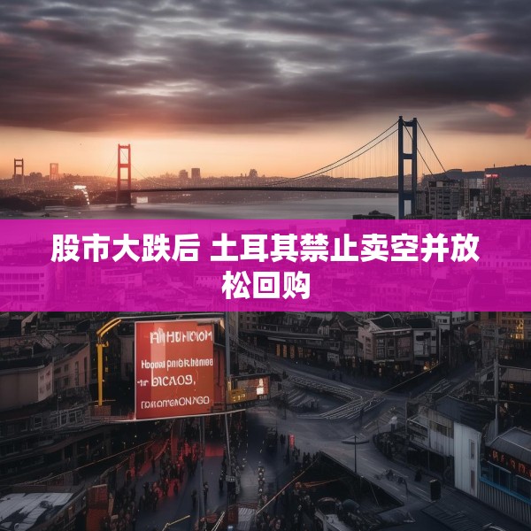 股市大跌后 土耳其禁止卖空并放松回购