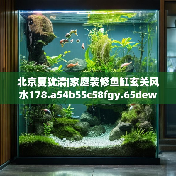 北京夏犹清|家庭装修鱼缸玄关风水178.a54b55c58fgy.65dewqe
