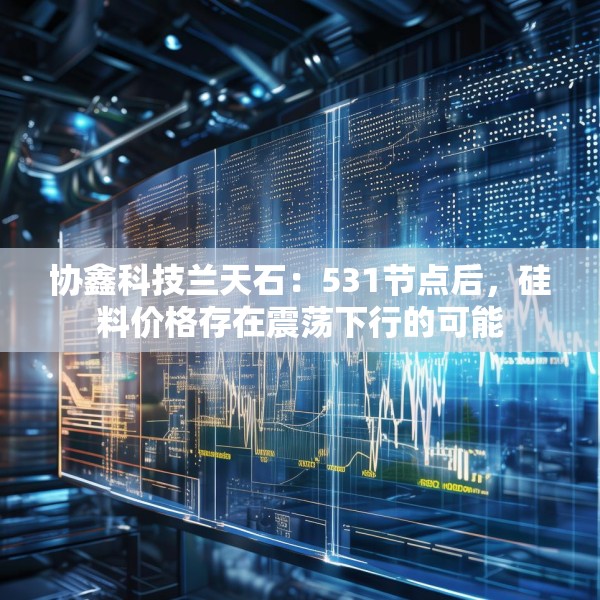 协鑫科技兰天石：531节点后，硅料价格存在震荡下行的可能