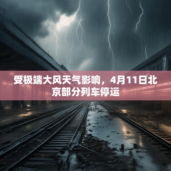 2025年4月11日 第24页