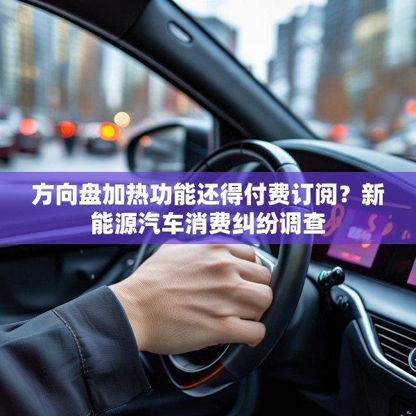 方向盘加热功能还得付费订阅？新能源汽车消费纠纷调查