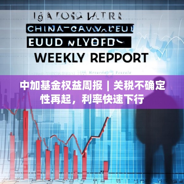 中加基金权益周报︱关税不确定性再起，利率快速下行