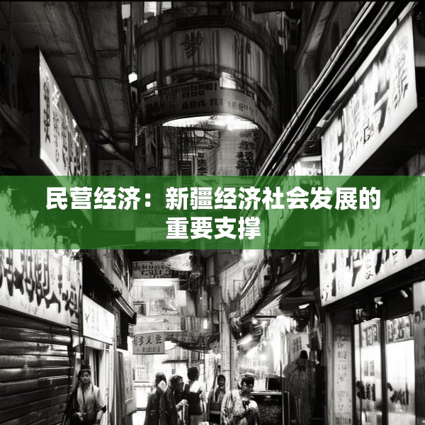 民营经济：新疆经济社会发展的重要支撑