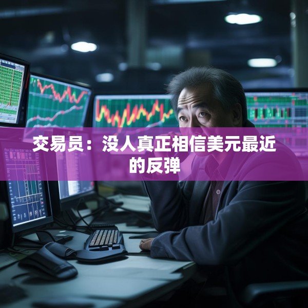 交易员：没人真正相信美元最近的反弹