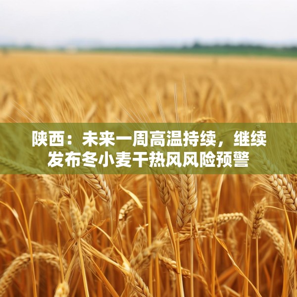 陕西：未来一周高温持续，继续发布冬小麦干热风风险预警