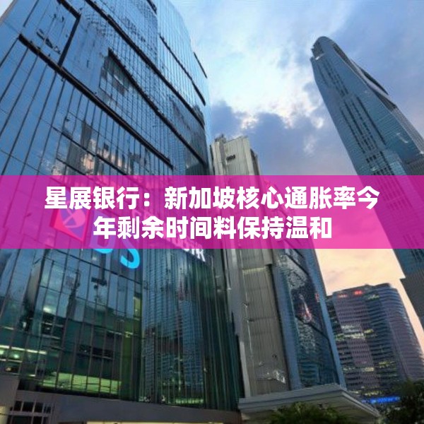 星展银行：新加坡核心通胀率今年剩余时间料保持温和