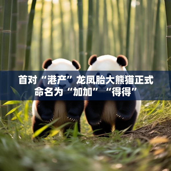 2025年5月27日 第5页