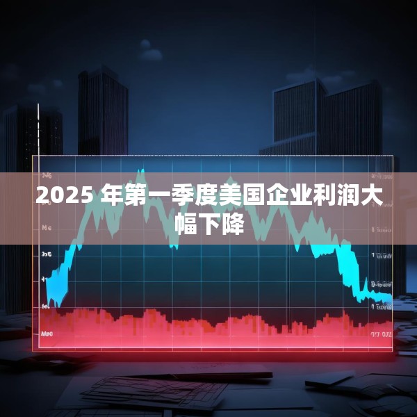 2025 年第一季度美国企业利润大幅下降