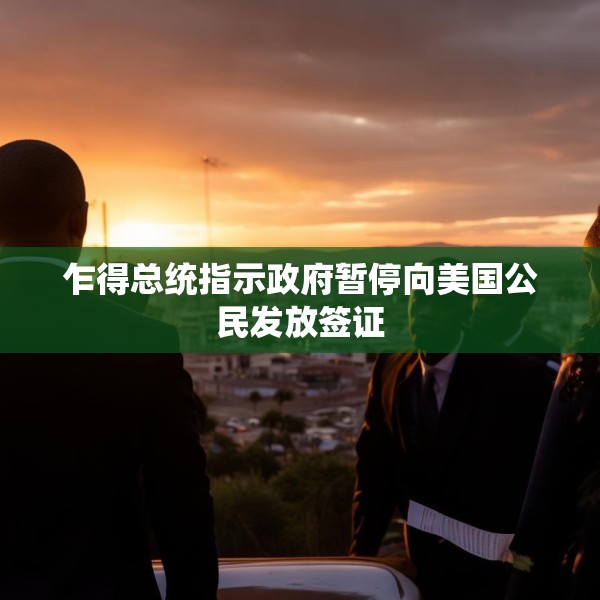乍得总统指示政府暂停向美国公民发放签证