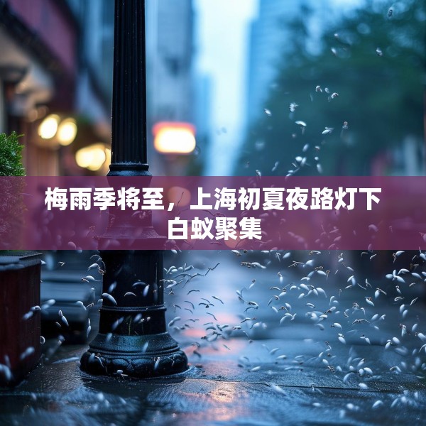 梅雨季将至，上海初夏夜路灯下白蚁聚集
