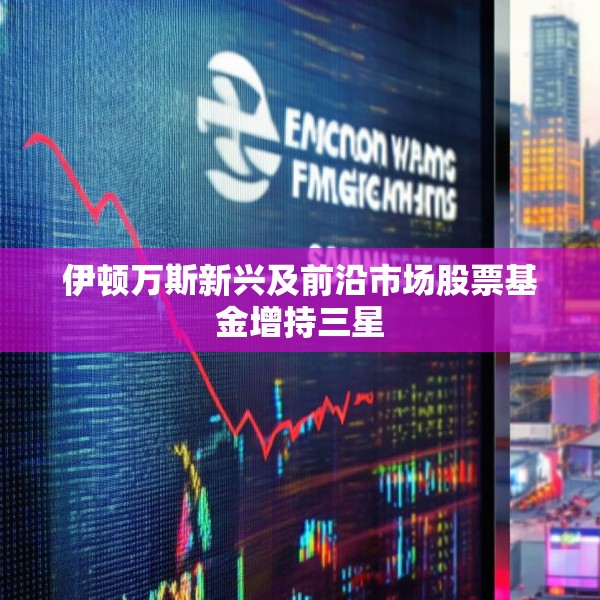 伊顿万斯新兴及前沿市场股票基金增持三星