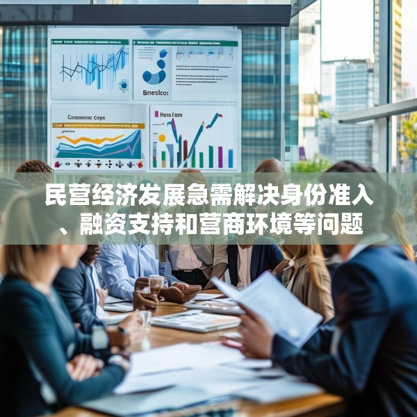 民营经济发展急需解决身份准入、融资支持和营商环境等问题