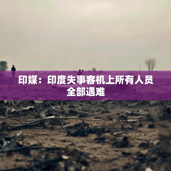 印媒：印度失事客机上所有人员全部遇难