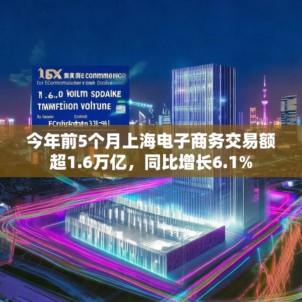 今年前5个月上海电子商务交易额超1.6万亿，同比增长6.1%